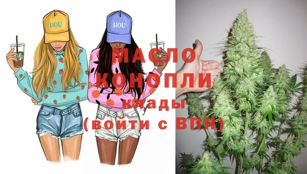 амф Новозыбков