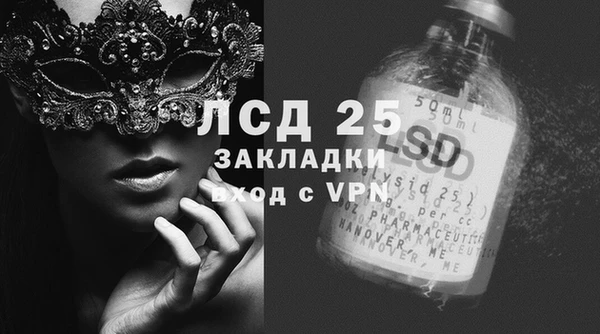 амф Новозыбков