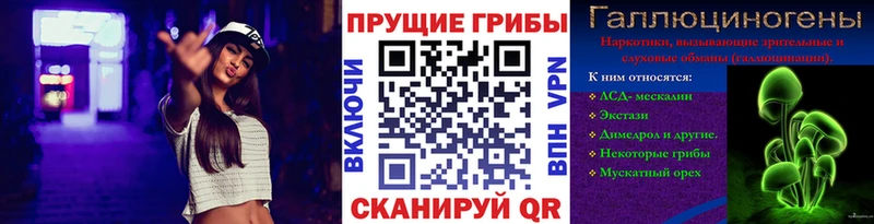 Галлюциногенные грибы Psilocybine cubensis Новосиль